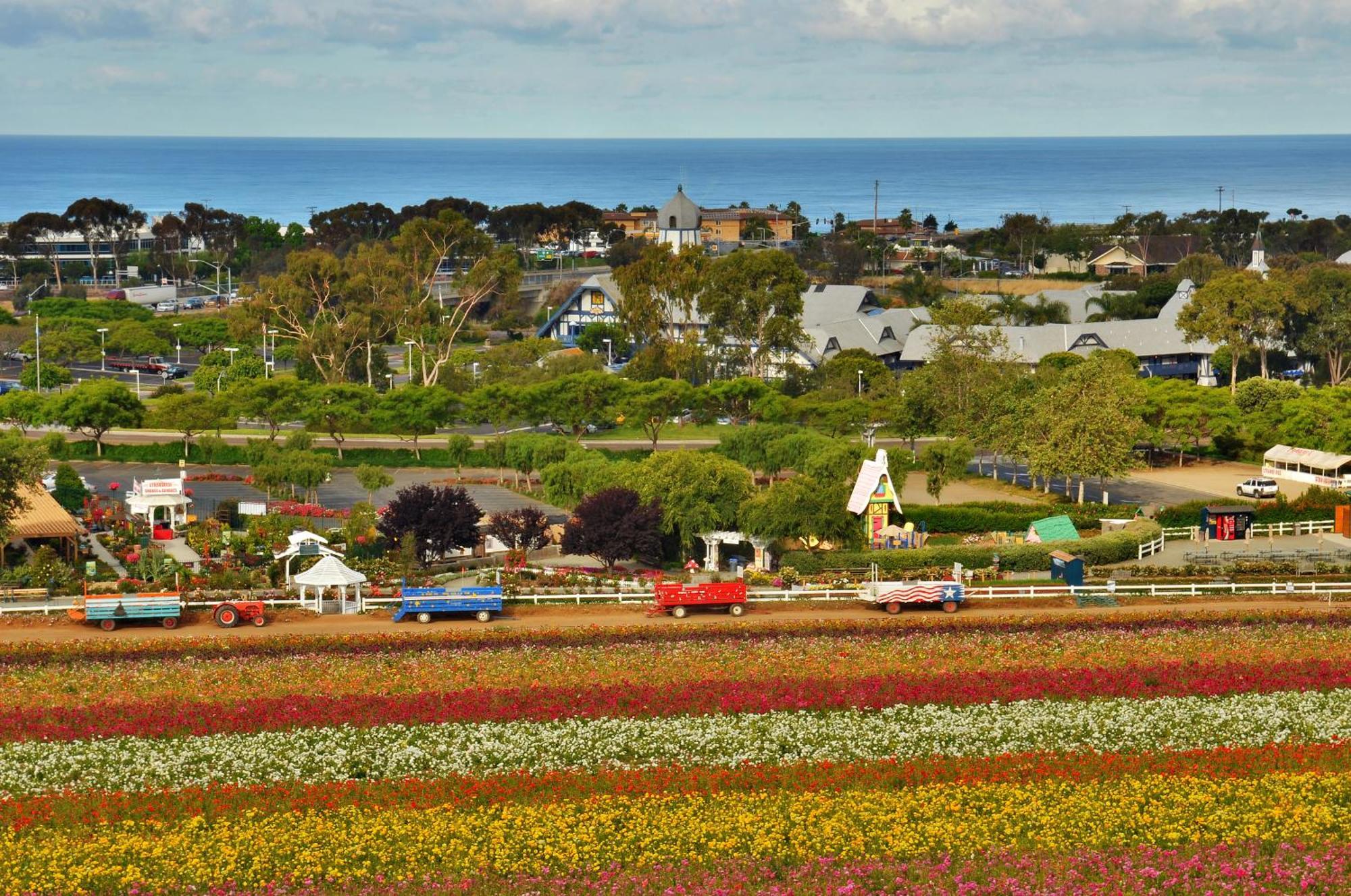 Grand Pacific Palisades Resort Carlsbad Eksteriør bilde
