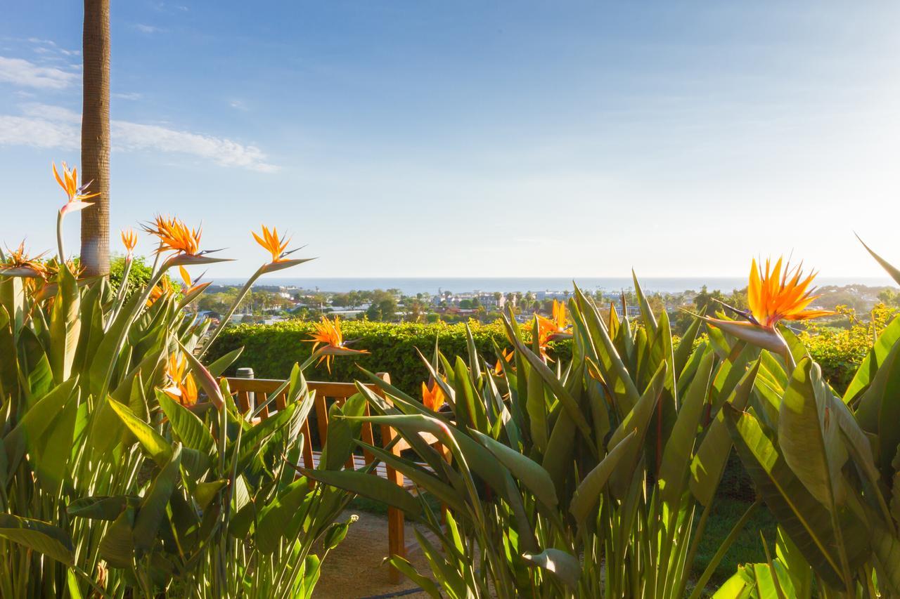 Grand Pacific Palisades Resort Carlsbad Eksteriør bilde